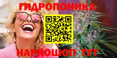 MDMA Новодвинск